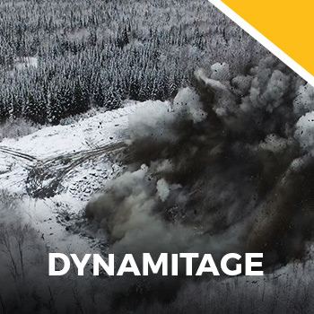 Services Dynamitage